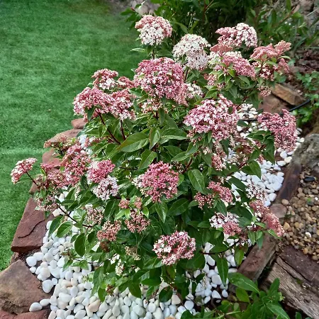 Casa Acogedora Familiar En La Montana *